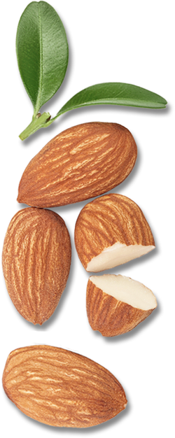 Almonds