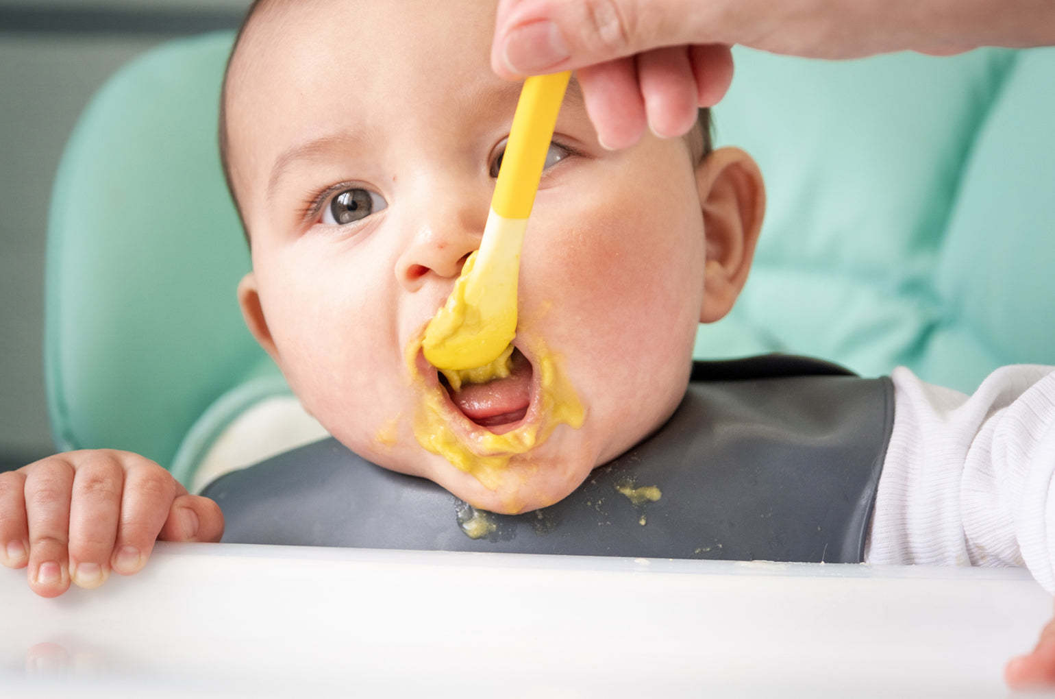 The Baby-Led Weaning (BLW): Approach and Best Practices – Else ...